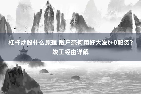 杠杆炒股什么原理 散户奈何用好大发t+0配资？竣工经由详解